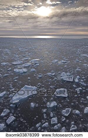"Ice floes, edge of the pack ice, Arctic Ocean, Spitsbergen, Svalbard Islands, Svalbard and Jan Mayen, Norway, Europe" View Large Photo Image Stock Photo - "Ice floes, edge of the pack ice, Arctic Ocean, Spitsbergen, Svalbard Islands, Svalbard and Jan Mayen, Norway, Europe". Fotosearch