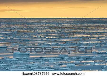 "Ice floes, edge of the pack ice, evening mood, Arctic Ocean, Spitsbergen Island, Svalbard Archipelago, Svalbard and Jan Mayen, Norway, Europe" View Large Photo Image Stock Photograph - "Ice floes, edge of the pack ice, evening mood, Arctic Ocean, Spitsbergen Island, Svalbard Archipelago, Svalbard and Jan Mayen, Norway, Europe". Fotosearch