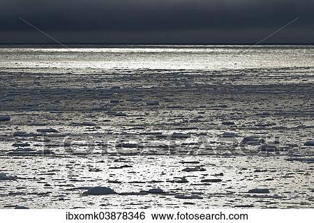 "Ice floes, edge of the pack ice, Arctic Ocean, Spitsbergen, Svalbard Islands, Svalbard and Jan Mayen, Norway, Europe" View Large Photo Image Stock Photograph - "Ice floes, edge of the pack ice, Arctic Ocean, Spitsbergen, Svalbard Islands, Svalbard and Jan Mayen, Norway, Europe". Fotosearch