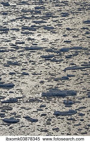 "Ice floes, edge of the pack ice, Arctic Ocean, Spitsbergen, Svalbard Islands, Svalbard and Jan Mayen, Norway, Europe" View Large Photo Image Stock Photography - "Ice floes, edge of the pack ice, Arctic Ocean, Spitsbergen, Svalbard Islands, Svalbard and Jan Mayen, Norway, Europe". Fotosearch