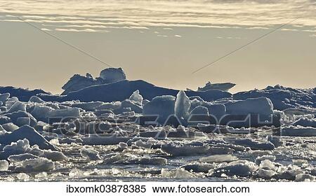 "Ice floes, edge of the pack ice, Arctic Ocean, Spitsbergen, Svalbard Islands, Svalbard and Jan Mayen, Norway, Europe" View Large Photo Image Stock Photography - "Ice floes, edge of the pack ice, Arctic Ocean, Spitsbergen, Svalbard Islands, Svalbard and Jan Mayen, Norway, Europe". Fotosearch