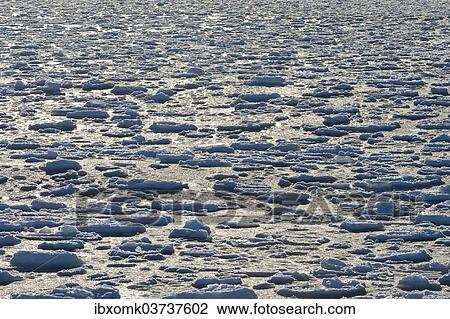 "Ice floes, pack ice, Arctic Ocean, Spitsbergen Island, Svalbard Archipelago, Svalbard and Jan Mayen, Norway, Europe" View Large Photo Image Stock Image - "Ice floes, pack ice, Arctic Ocean, Spitsbergen Island, Svalbard Archipelago, Svalbard and Jan Mayen, Norway, Europe". Fotosearch