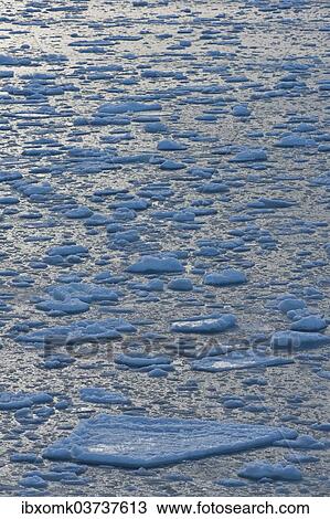 "Ice floes, pack ice, Arctic Ocean, Spitsbergen Island, Svalbard Archipelago, Svalbard and Jan Mayen, Norway, Europe" View Large Photo Image Stock Image - "Ice floes, pack ice, Arctic Ocean, Spitsbergen Island, Svalbard Archipelago, Svalbard and Jan Mayen, Norway, Europe". Fotosearch