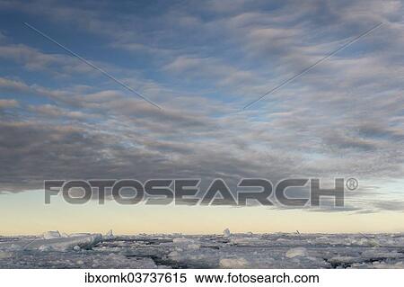 "Ice floes, pack ice, Arctic Ocean, Spitsbergen Island, Svalbard Archipelago, Svalbard and Jan Mayen, Norway, Europe" View Large Photo Image Stock Photography - "Ice floes, pack ice, Arctic Ocean, Spitsbergen Island, Svalbard Archipelago, Svalbard and Jan Mayen, Norway, Europe". Fotosearch