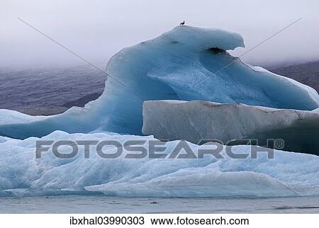 Stock Image - "Ice, icebergs, Jokulsarlon glacial lake, lagoon, Iceland, Europe". Fotosearch