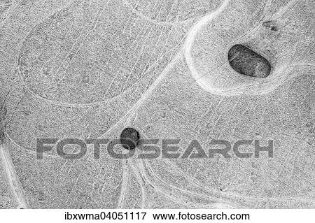 "Ice patterns in a puddle, Hesse, Germany, Europe" View Large Photo Image Stock Photo - "Ice patterns in a puddle, Hesse, Germany, Europe". Fotosearch