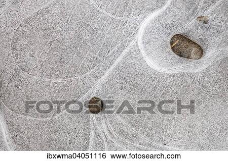 "Ice patterns in a puddle, Hesse, Germany, Europe" View Large Photo Image Stock Photograph - "Ice patterns in a puddle, Hesse, Germany, Europe". Fotosearch