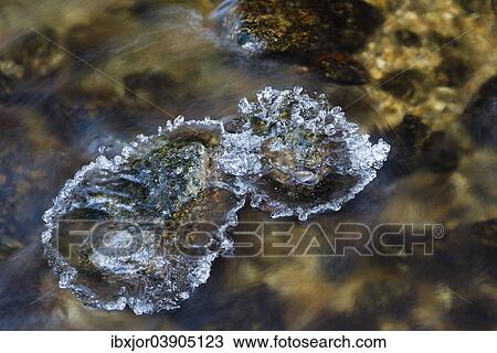 "Ice, Ysperklamm Gorge, Waldviertel or Forest Quarter, Lower Austria, Austria, Europe" View Large Photo Image Stock Image - "Ice, Ysperklamm Gorge, Waldviertel or Forest Quarter, Lower Austria, Austria, Europe". Fotosearch