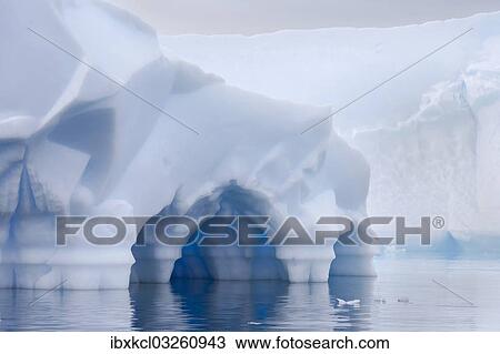 "Iceberg, detail, Pleneau Bay, Antarctic Peninsula, Antarctica" View Large Photo Image Stock Image - "Iceberg, detail, Pleneau Bay, Antarctic Peninsula, Antarctica". Fotosearch
