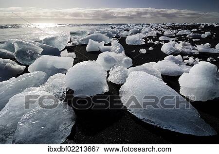 "Icebergs and ice crystals on a black beach, Joekulsarlon, Vatnajoekull glacier, Austurland, eastern Iceland, Iceland, Europe" View Large Photo Image Stock Photo - "Icebergs and ice crystals on a black beach, Joekulsarlon, Vatnajoekull glacier, Austurland, eastern Iceland, Iceland, Europe". Fotosearch