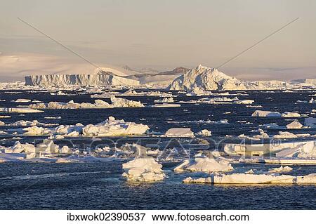 "Icebergs, Antarctic Sound, Weddell Sea, Antarctica" View Large Photo Image Stock Photo - "Icebergs, Antarctic Sound, Weddell Sea, Antarctica". Fotosearch