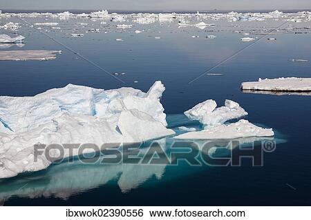 "Icebergs, Antarctic Sound, Weddell Sea, Antarctica" View Large Photo Image Stock Photograph - "Icebergs, Antarctic Sound, Weddell Sea, Antarctica". Fotosearch