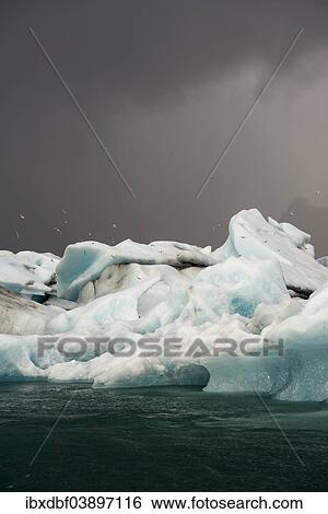 "Icebergs, Jokulsarlon Glacier Lagoon, Vatnajokull Glacier, Austurland, East Iceland, Iceland, Europe" View Large Photo Image Stock Photograph - "Icebergs, Jokulsarlon Glacier Lagoon, Vatnajokull Glacier, Austurland, East Iceland, Iceland, Europe". Fotosearch