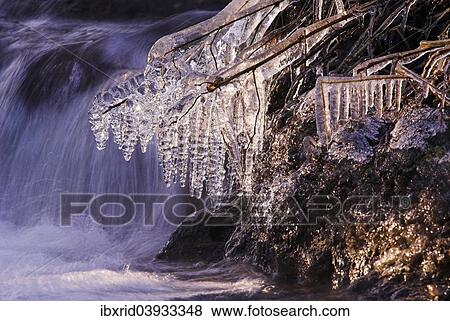 "Icicles shining in sunlight, at a creek, Sauerland, North Rhine-Westphalia, Germany, Europe" View Large Photo Image Stock Photo - "Icicles shining in sunlight, at a creek, Sauerland, North Rhine-Westphalia, Germany, Europe". Fotosearch