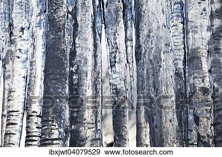 Icicles View Large Photo Image Stock Photo - Icicles. Fotosearch