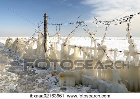 "Icy barbed wire, frozen Black Sea, a rare phenomenon, occured in 1977 for the last time, Odessa, Ukraine, Eastern Europe, Europe" View Large Photo Image Stock Image - "Icy barbed wire, frozen Black Sea, a rare phenomenon, occured in 1977 for the last time, Odessa, Ukraine, Eastern Europe, Europe". Fotosearch