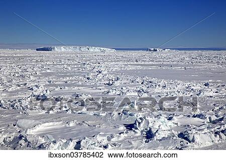 "Icy landscape, pack ice, Weddell Sea, Antarctica" View Large Photo Image Stock Image - "Icy landscape, pack ice, Weddell Sea, Antarctica". Fotosearch