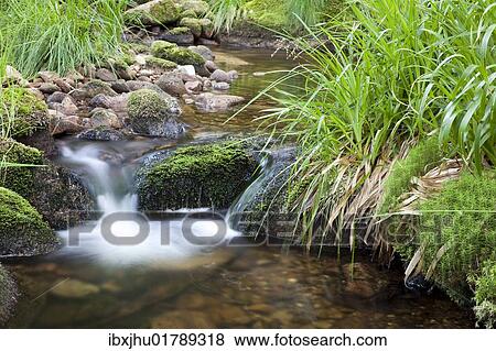 "Idyllic mountain creek in the Black Forest, Baden-Wuerttemberg, Germany, Europe" View Large Photo Image Stock Photo - "Idyllic mountain creek in the Black Forest, Baden-Wuerttemberg, Germany, Europe". Fotosearch