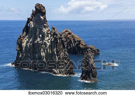"Ilheus da Rib rock formations on the cliff coast of Ribeira da Janela, Lanceiros, Ribeira da Janela, Madeira, Portugal, Europe" View Large Photo Image Stock Image - "Ilheus da Rib rock formations on the cliff coast of Ribeira da Janela, Lanceiros, Ribeira da Janela, Madeira, Portugal, Europe". Fotosearch
