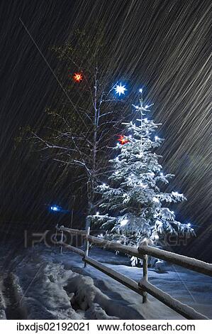 Stock Image - "Illuminated Christmas tree in the snow, snowfall, Dreisamtal valley, Black Forest mountain range, Baden-Wuerttemberg, Germany, Europe". Fotosearch