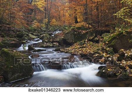 "Ilse brook in autumn, rapids, Ilsetal valley, Harz region, Saxony-Anhalt, Germany, Europe" View Large Photo Image Stock Image - "Ilse brook in autumn, rapids, Ilsetal valley, Harz region, Saxony-Anhalt, Germany, Europe". Fotosearch