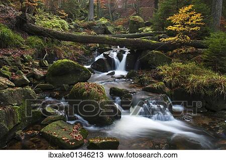 "Ilse brook with rapids, Ilsefaelle waterfalls in autumn, Ilsetal valley, Harz region, Saxony-Anhalt, Germany, Europe" View Large Photo Image Stock Image - "Ilse brook with rapids, Ilsefaelle waterfalls in autumn, Ilsetal valley, Harz region, Saxony-Anhalt, Germany, Europe". Fotosearch