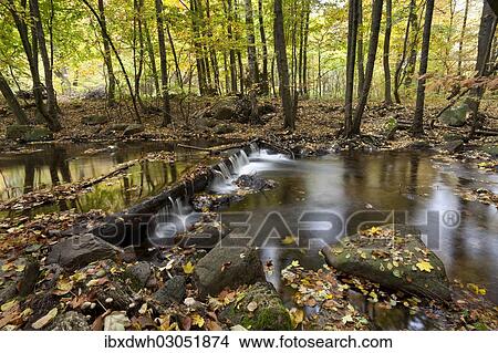 "Ilse River in Ilsetal valley in autumn, Harz, Nationalpark Hochharz, Saxony-Anhalt, Germany, Europe" View Large Photo Image Picture - "Ilse River in Ilsetal valley in autumn, Harz, Nationalpark Hochharz, Saxony-Anhalt, Germany, Europe". Fotosearch