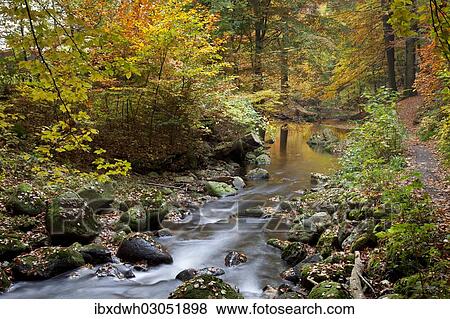 "Ilse River in Ilsetal valley in autumn, Harz, Nationalpark Hochharz, Saxony-Anhalt, Germany, Europe" View Large Photo Image Stock Photo - "Ilse River in Ilsetal valley in autumn, Harz, Nationalpark Hochharz, Saxony-Anhalt, Germany, Europe". Fotosearch
