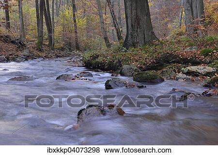 "Ilse river, mountain stream, Ilse Valley in autumn, near Ilsenburg, Saxony-Anhalt, Germany, Europe" View Large Photo Image Stock Photo - "Ilse river, mountain stream, Ilse Valley in autumn, near Ilsenburg, Saxony-Anhalt, Germany, Europe". Fotosearch
