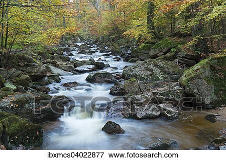 Stock Photo - "Ilse stream, autumn, Harz National Park, Ilsenburg, Saxony-Anhalt, Germany, Europe". Fotosearch