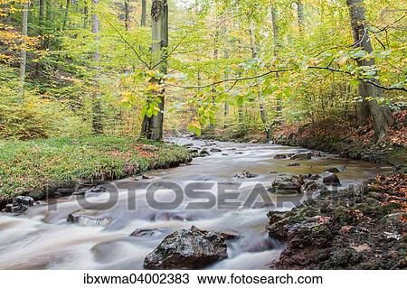 "Ilsetal valley in autumn, near Ilsenburg, Saxony-Anhalt, Germany, Europe" View Large Photo Image Stock Image - "Ilsetal valley in autumn, near Ilsenburg, Saxony-Anhalt, Germany, Europe". Fotosearch