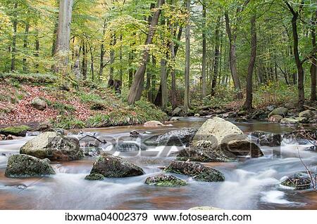 "Ilsetal valley in autumn, near Ilsenburg, Saxony-Anhalt, Germany, Europe" View Large Photo Image Stock Photo - "Ilsetal valley in autumn, near Ilsenburg, Saxony-Anhalt, Germany, Europe". Fotosearch