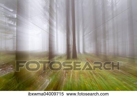 "Impresssions of an autumnal forest, Hesse, Germany, Europe" View Large Photo Image Stock Photography - "Impresssions of an autumnal forest, Hesse, Germany, Europe". Fotosearch