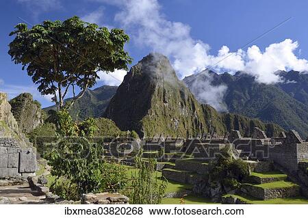 "Inca ruins of Machu Picchu, UNESCO World Cultural Heritage Site, Urubamba Valley, Andes, Peru, South America" View Large Photo Image Stock Photo - "Inca ruins of Machu Picchu, UNESCO World Cultural Heritage Site, Urubamba Valley, Andes, Peru, South America". Fotosearch