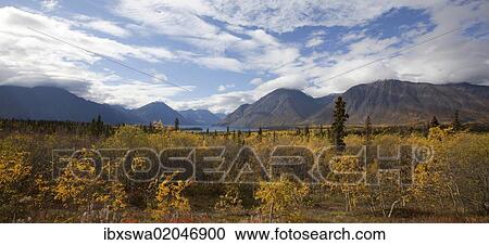 Stock Image - "Indian Summer, fall colours, autumn, Kathleen Lake, St. Elias Mountains, Kluane National Park and Reserve, Yukon Territory, Canada, North America". Fotosearch