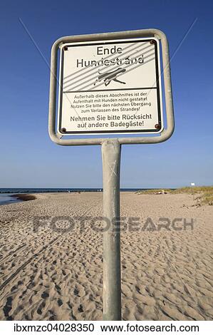 "Information sign, Ende Hundestrand or end of the dog beach, Ahrenshoop, Darss, Fischland-Darss-Zingst, Mecklenburg-Western Pomerania, Germany, Europe" View Large Photo Image Stock Image - "Information sign, Ende Hundestrand or end of the dog beach, Ahrenshoop, Darss, Fischland-Darss-Zingst, Mecklenburg-Western Pomerania, Germany, Europe". Fotosearch