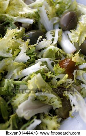 "Insalata di rinforzo"""", chicorium envidia salad, traditional Christmas entree in Naples, Campania, Italy, Europe" View Large Photo Image Stock Image - "Insalata di rinforzo"""", chicorium envidia salad, traditional Christmas entree in Naples, Campania, Italy, Europe". Fotosearch