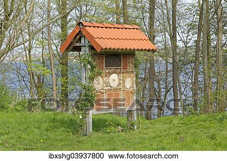 "Insect hotel, Plon, Schleswig-Holstein, Germany, Europe" View Large Photo Image Stock Image - "Insect hotel, Plon, Schleswig-Holstein, Germany, Europe". Fotosearch
