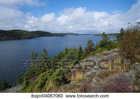 "Islands in an archipelago, view from the island of Orust, Vastra Gotaland County, Bohuslan, Sweden, Europe" View Large Photo Image Stock Image - "Islands in an archipelago, view from the island of Orust, Vastra Gotaland County, Bohuslan, Sweden, Europe". Fotosearch