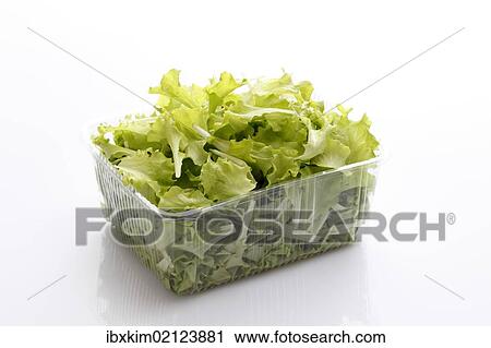 Italian lettuce in a plastic bowl View Large Photo Image Stock Image - Italian lettuce in a plastic bowl. Fotosearch