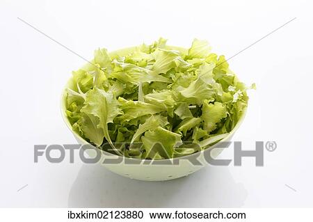 Italian lettuce in a white bowl View Large Photo Image Stock Image - Italian lettuce in a white bowl. Fotosearch