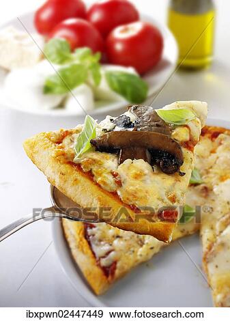 Italian mushroom and cheese pizza slice View Large Photo Image Stock Photo - Italian mushroom and cheese pizza slice. Fotosearch