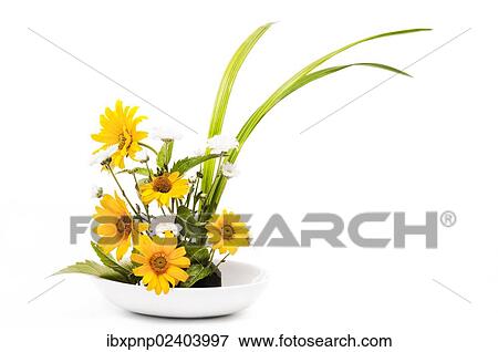 Stock Photo - "Japanese flower arrangement, ikebana". Fotosearch