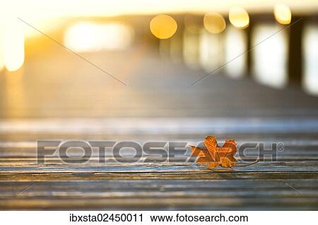 "Jetty, evening at the autumnal Lake Starnberg near Ambach, Bavaria, Germany, Europe, PublicGround, Europe" View Large Photo Image Stock Image - "Jetty, evening at the autumnal Lake Starnberg near Ambach, Bavaria, Germany, Europe, PublicGround, Europe". Fotosearch