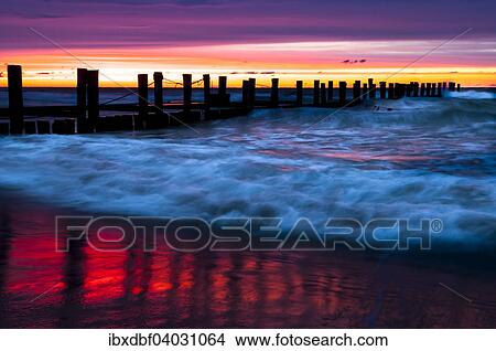 Picture - "Jetty, groynes, sunset, evening light, Baltic Sea, Zingst, Fischland-Darss-Zingst, Mecklenburg-Western Pomerania, Germany, Europe". Fotosearch