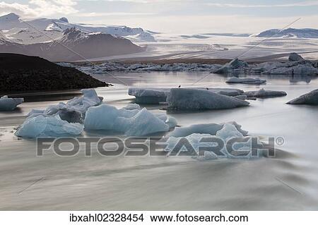 "Joekulsarlon glacial lake, Vatnajoekull or Vatna Glacier, East Iceland, Iceland, Europe" View Large Photo Image Picture - "Joekulsarlon glacial lake, Vatnajoekull or Vatna Glacier, East Iceland, Iceland, Europe". Fotosearch