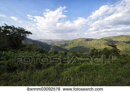 "Jungle landscape, virgin forest, Khao Yai Nationalpark, Prachinburi, Nakhon Ratchasima, Thailand, Asia" View Large Photo Image Stock Photo - "Jungle landscape, virgin forest, Khao Yai Nationalpark, Prachinburi, Nakhon Ratchasima, Thailand, Asia". Fotosearch