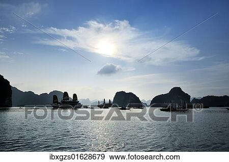 Stock Photo - "Junks in Halong Bay, Vietnam, Southeast Asia, Asia". Fotosearch