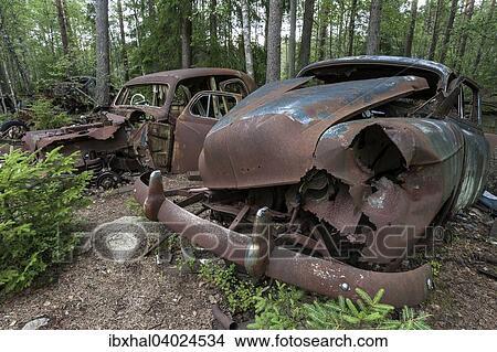 "Junkyard in the forest, junk cars, 40s in Ryd, Smaland, Sweden, Europe" View Large Photo Image Picture - "Junkyard in the forest, junk cars, 40s in Ryd, Smaland, Sweden, Europe". Fotosearch