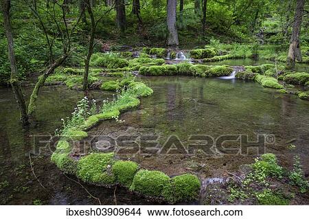 "Kaisinger Brunnenbach, stream, Greding, Bavaria, Germany, Europe" View Large Photo Image Picture - "Kaisinger Brunnenbach, stream, Greding, Bavaria, Germany, Europe". Fotosearch